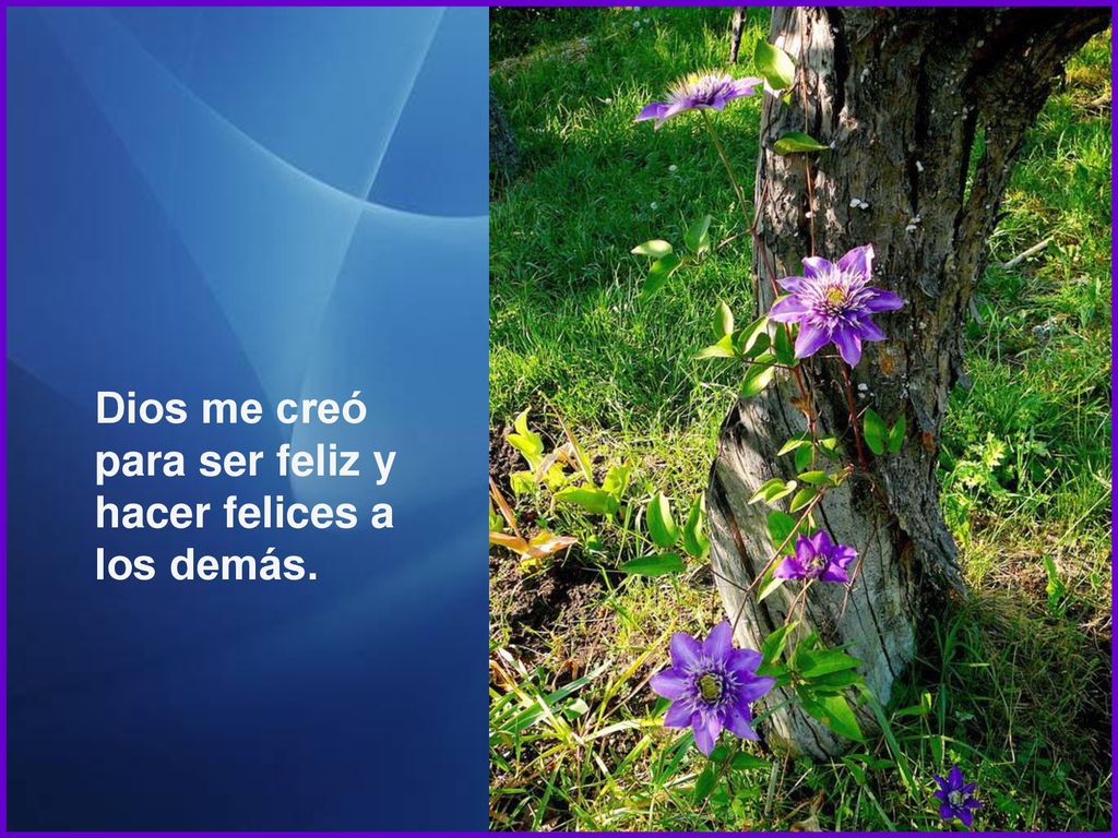 Dios me creó para ser feliz y hacer felices a los demás.