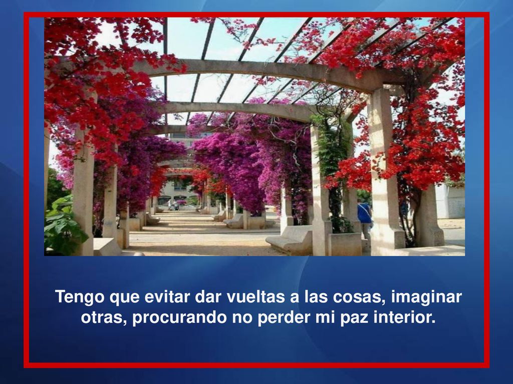 Tengo que evitar dar vueltas a las cosas, imaginar otras, procurando no perder mi paz interior.