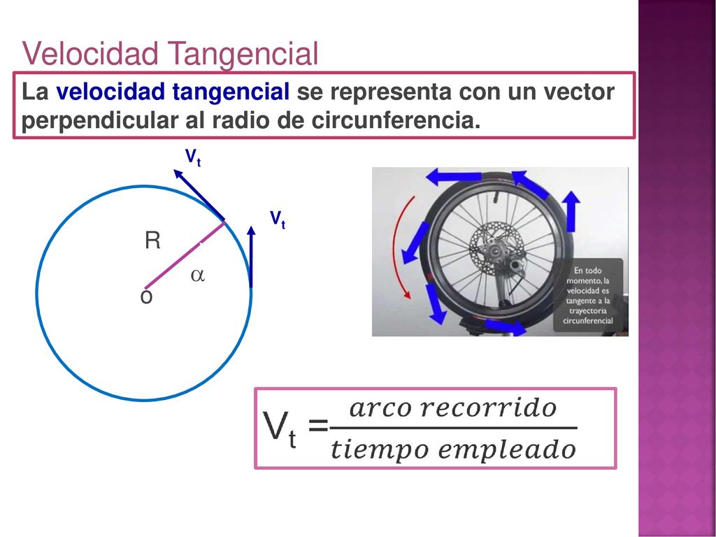 Velocidad Tangencial La velocidad tangencial se representa con un vector perpendicular al radio de circunferencia.