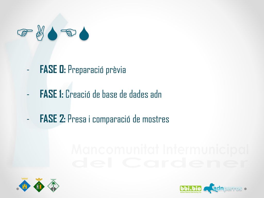 FASES FASE 0: Preparació prèvia FASE 1: Creació de base de dades adn