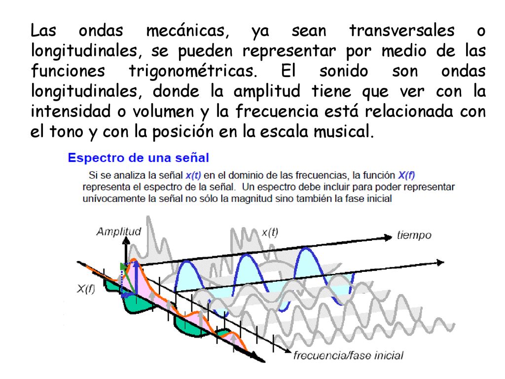 Las ondas mecánicas, ya sean transversales o longitudinales, se pueden representar por medio de las funciones trigonométricas.