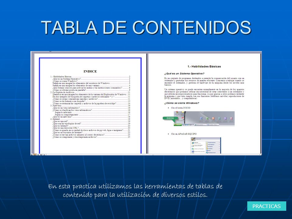 TABLA DE CONTENIDOS En esta practica utilizamos las herramientas de tablas de contenido para la utilización de diversos estilos.
