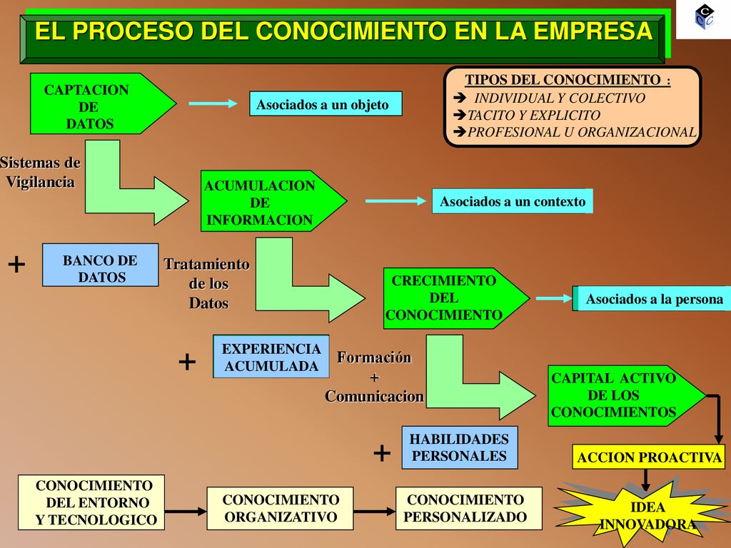 + + + EL PROCESO DEL CONOCIMIENTO EN LA EMPRESA Sistemas de Vigilancia