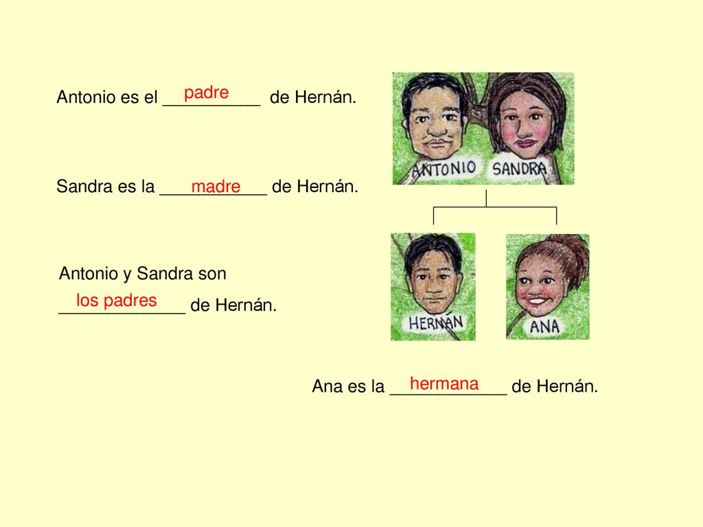 padre Antonio es el __________ de Hernán. Sandra es la ___________ de Hernán. madre. Antonio y Sandra son _____________ de Hernán.