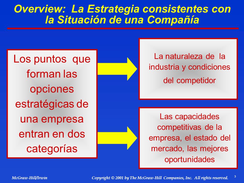 Overview: La Estrategia consistentes con la Situación de una Compañía