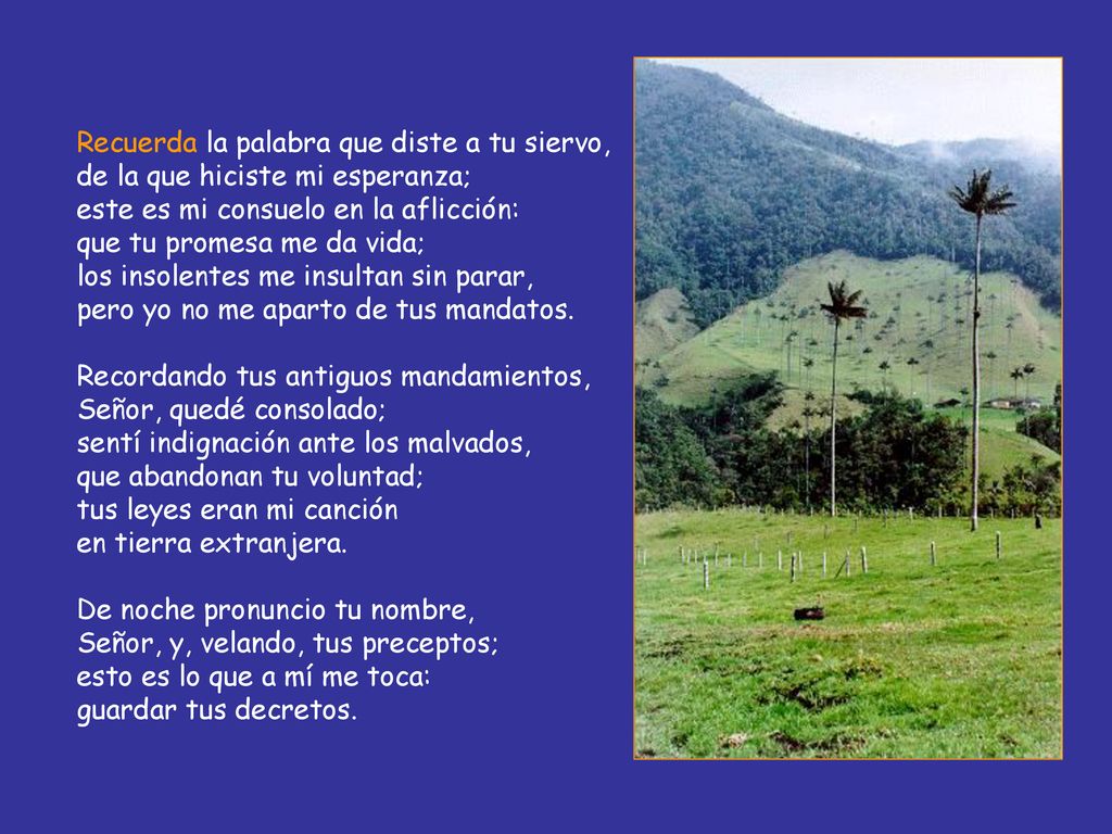 Recuerda la palabra que diste a tu siervo, de la que hiciste mi esperanza; este es mi consuelo en la aflicción: que tu promesa me da vida; los insolentes me insultan sin parar, pero yo no me aparto de tus mandatos.