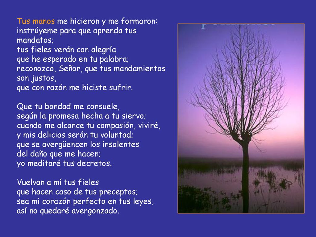 Tus manos me hicieron y me formaron: instrúyeme para que aprenda tus mandatos; tus fieles verán con alegría que he esperado en tu palabra; reconozco, Señor, que tus mandamientos son justos, que con razón me hiciste sufrir.