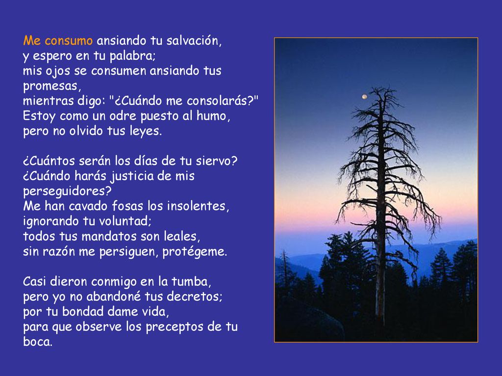Me consumo ansiando tu salvación, y espero en tu palabra; mis ojos se consumen ansiando tus promesas, mientras digo: ¿Cuándo me consolarás Estoy como un odre puesto al humo, pero no olvido tus leyes.