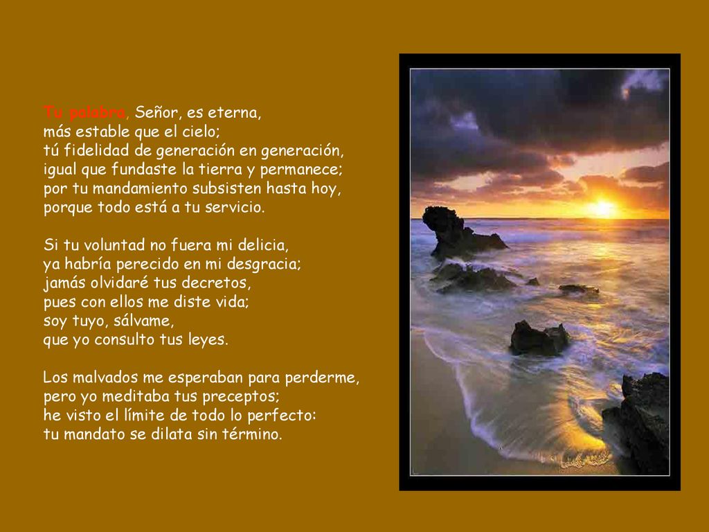 Tu palabra, Señor, es eterna, más estable que el cielo; tú fidelidad de generación en generación, igual que fundaste la tierra y permanece; por tu mandamiento subsisten hasta hoy, porque todo está a tu servicio.