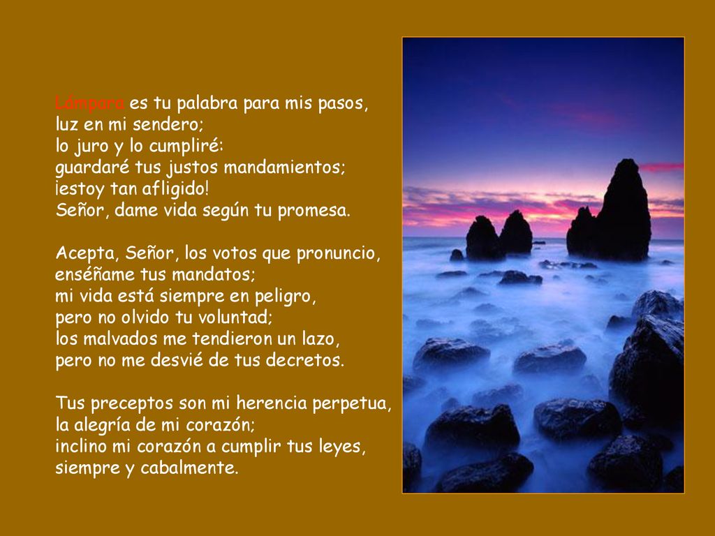 Lámpara es tu palabra para mis pasos, luz en mi sendero; lo juro y lo cumpliré: guardaré tus justos mandamientos; ¡estoy tan afligido.