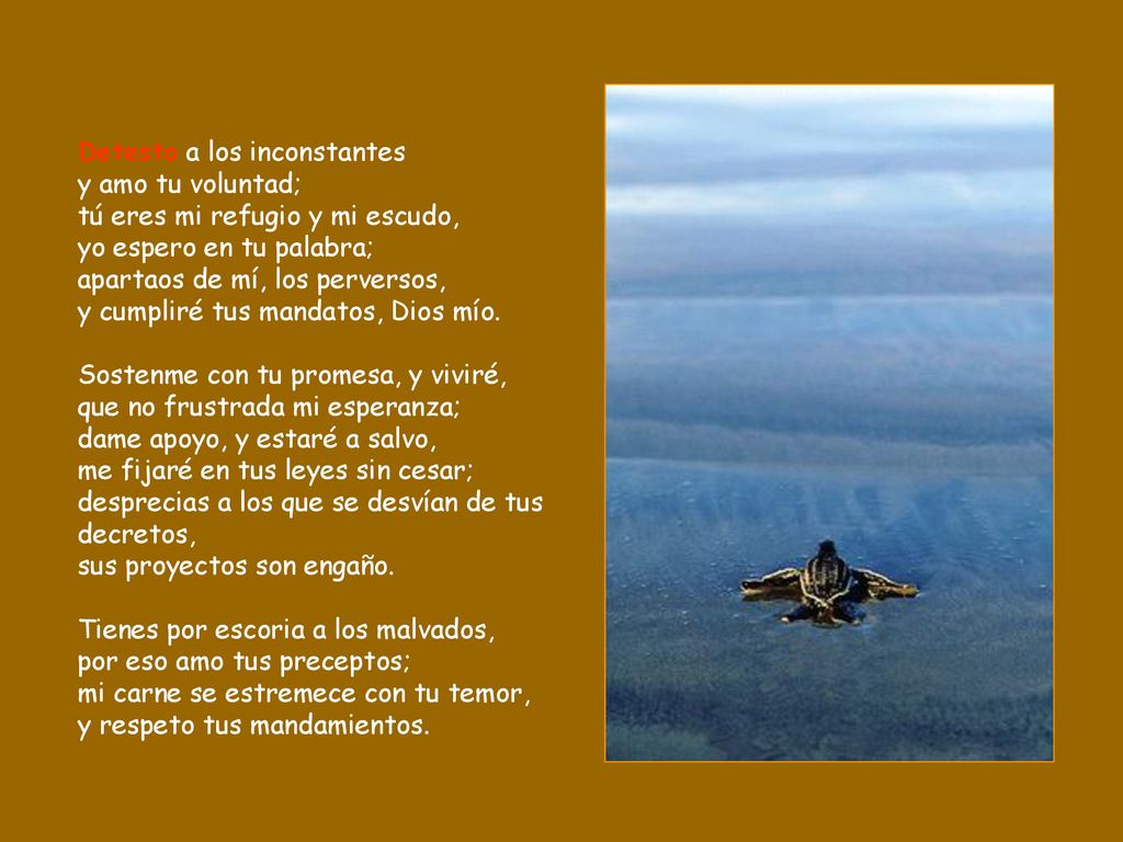Detesto a los inconstantes y amo tu voluntad; tú eres mi refugio y mi escudo, yo espero en tu palabra; apartaos de mí, los perversos, y cumpliré tus mandatos, Dios mío.