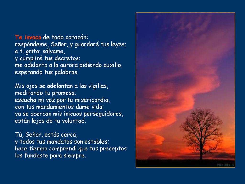 Te invoco de todo corazón: respóndeme, Señor, y guardaré tus leyes; a ti grito: sálvame, y cumpliré tus decretos; me adelanto a la aurora pidiendo auxilio, esperando tus palabras.