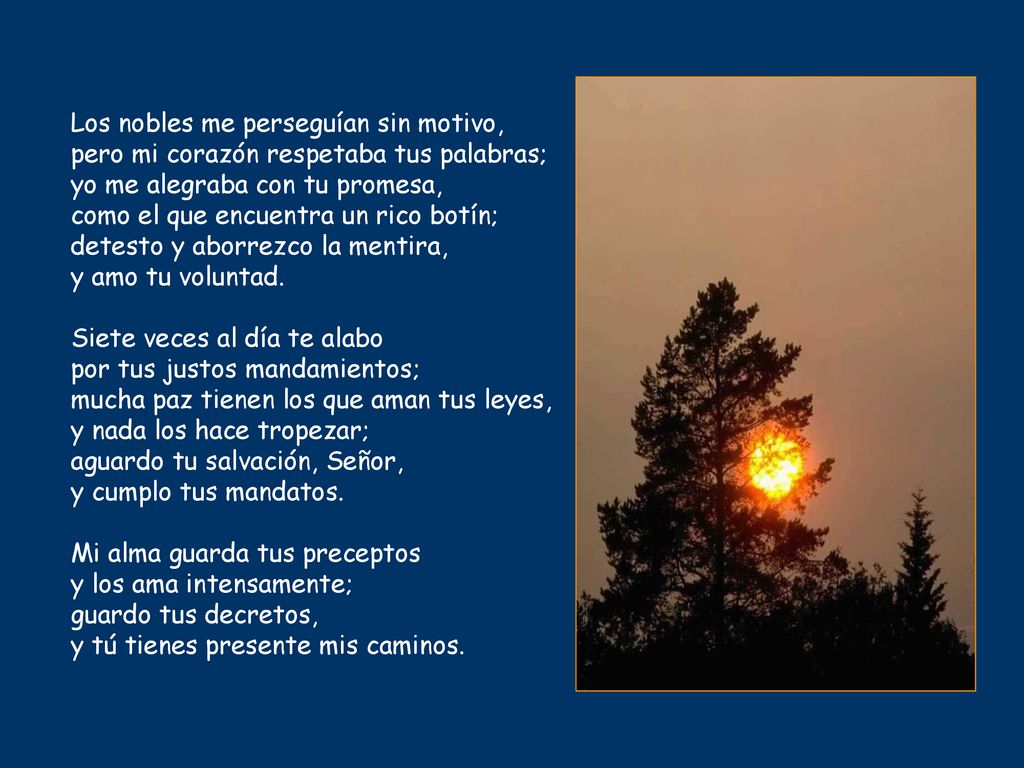 Los nobles me perseguían sin motivo, pero mi corazón respetaba tus palabras; yo me alegraba con tu promesa, como el que encuentra un rico botín; detesto y aborrezco la mentira, y amo tu voluntad.