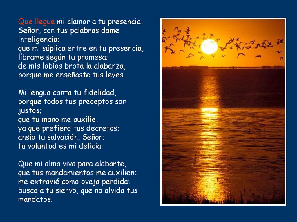 Que llegue mi clamor a tu presencia, Señor, con tus palabras dame inteligencia; que mi súplica entre en tu presencia, líbrame según tu promesa; de mis labios brota la alabanza, porque me enseñaste tus leyes.