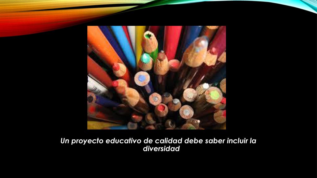 Un proyecto educativo de calidad debe saber incluir la diversidad