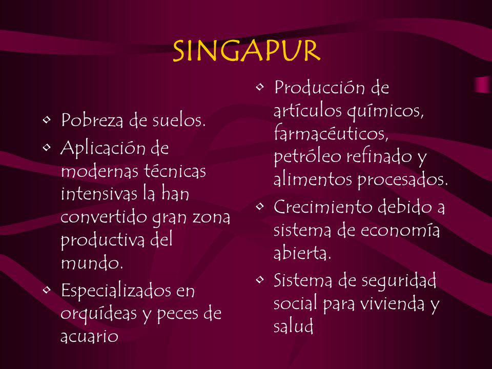 SINGAPUR Producción de artículos químicos, farmacéuticos, petróleo refinado y alimentos procesados.