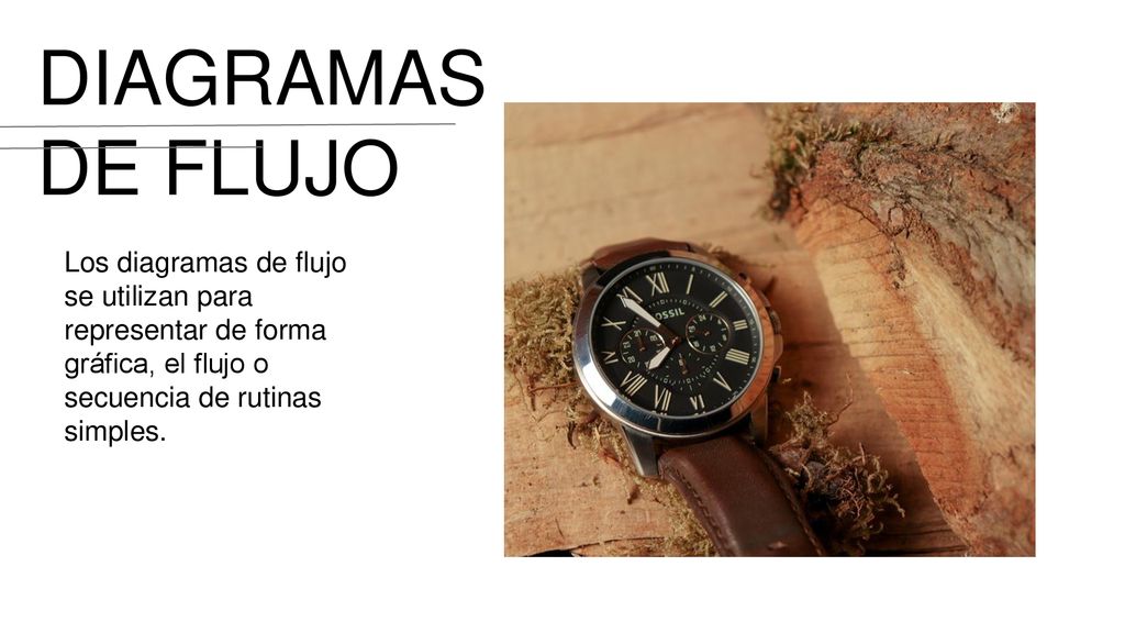 DIAGRAMAS DE FLUJO Los diagramas de flujo se utilizan para representar de forma gráfica, el flujo o secuencia de rutinas simples.