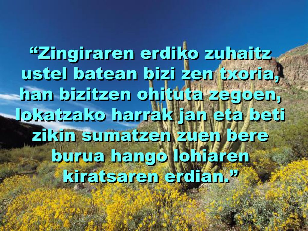 Zingiraren erdiko zuhaitz ustel batean bizi zen txoria, han bizitzen ohituta zegoen, lokatzako harrak jan eta beti zikin sumatzen zuen bere burua hango lohiaren kiratsaren erdian.