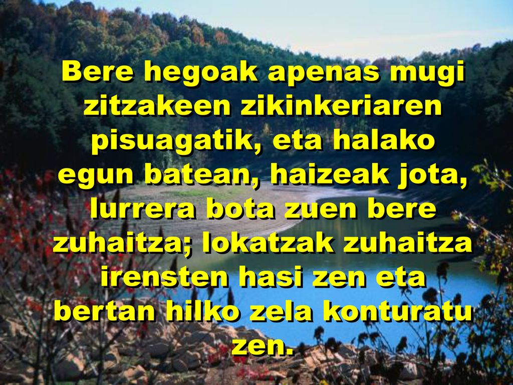 Bere hegoak apenas mugi zitzakeen zikinkeriaren pisuagatik, eta halako egun batean, haizeak jota, lurrera bota zuen bere zuhaitza; lokatzak zuhaitza irensten hasi zen eta bertan hilko zela konturatu zen.
