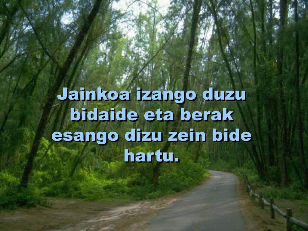 Jainkoa izango duzu bidaide eta berak esango dizu zein bide hartu.