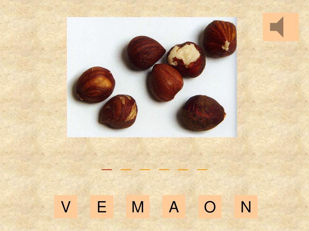 _ _ _ _ _ _ V E M A O N