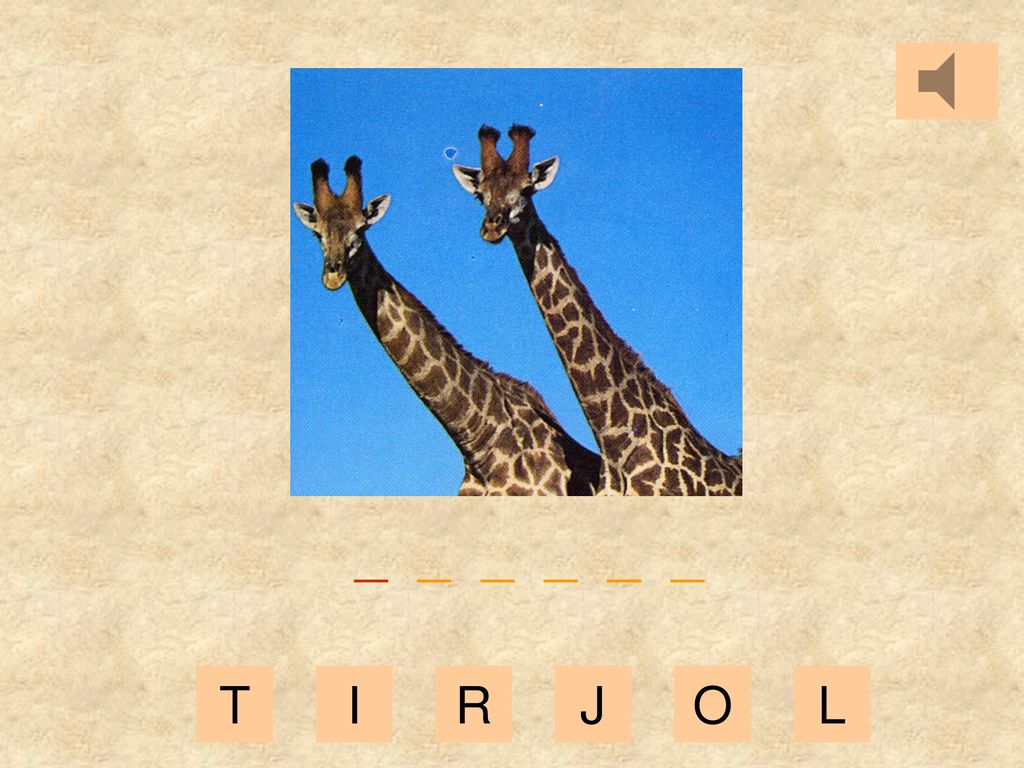 _ _ _ _ _ _ T I R J O L