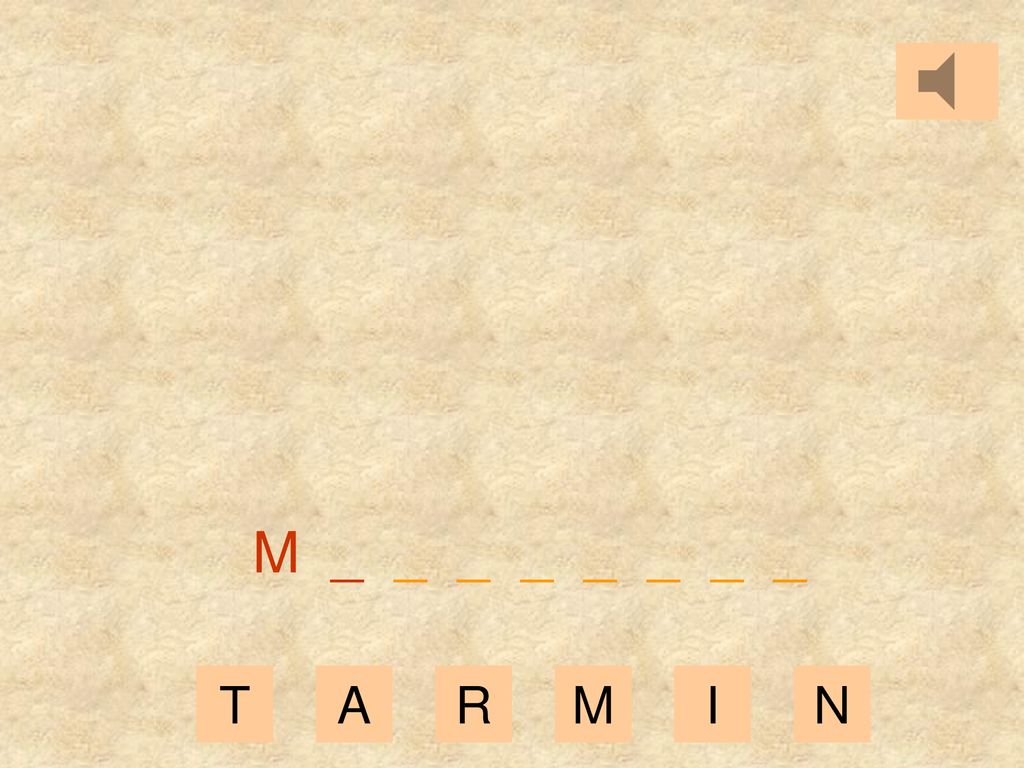 M _ _ _ _ _ _ _ _ T A R M I N