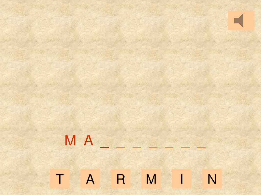 M A _ _ _ _ _ _ _ T A R M I N