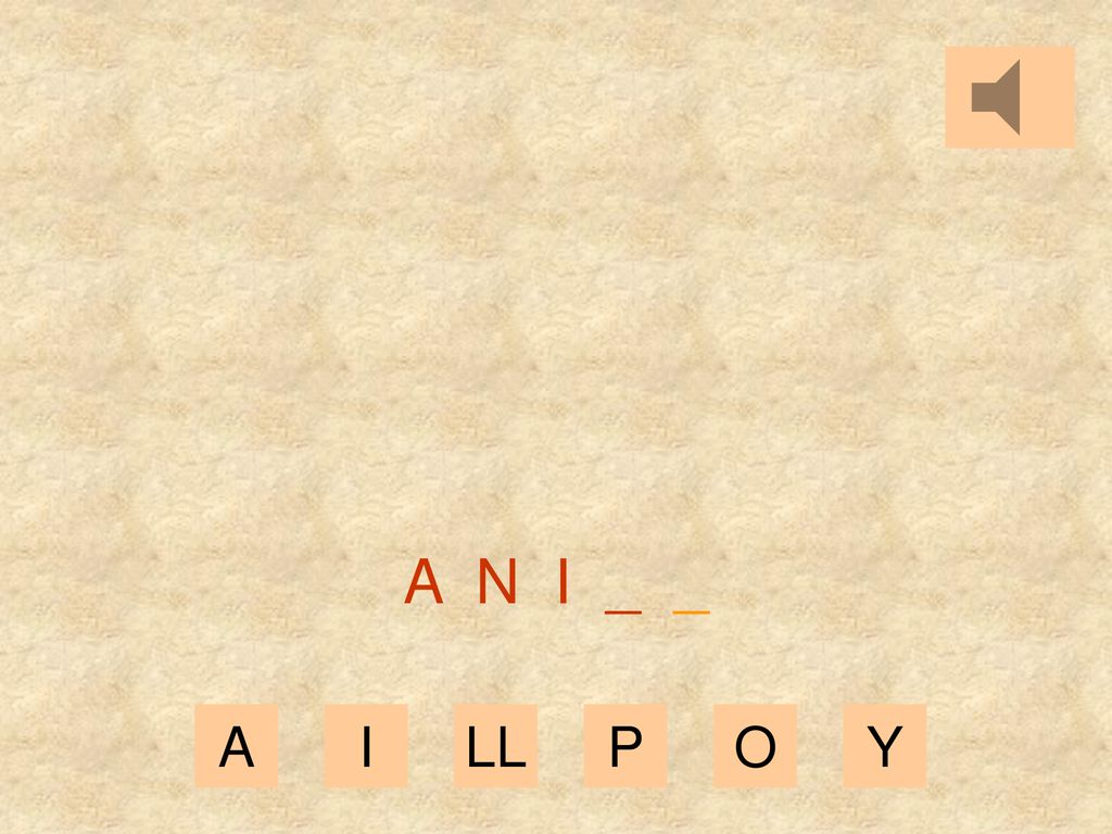 A N I _ _ A I LL P O Y