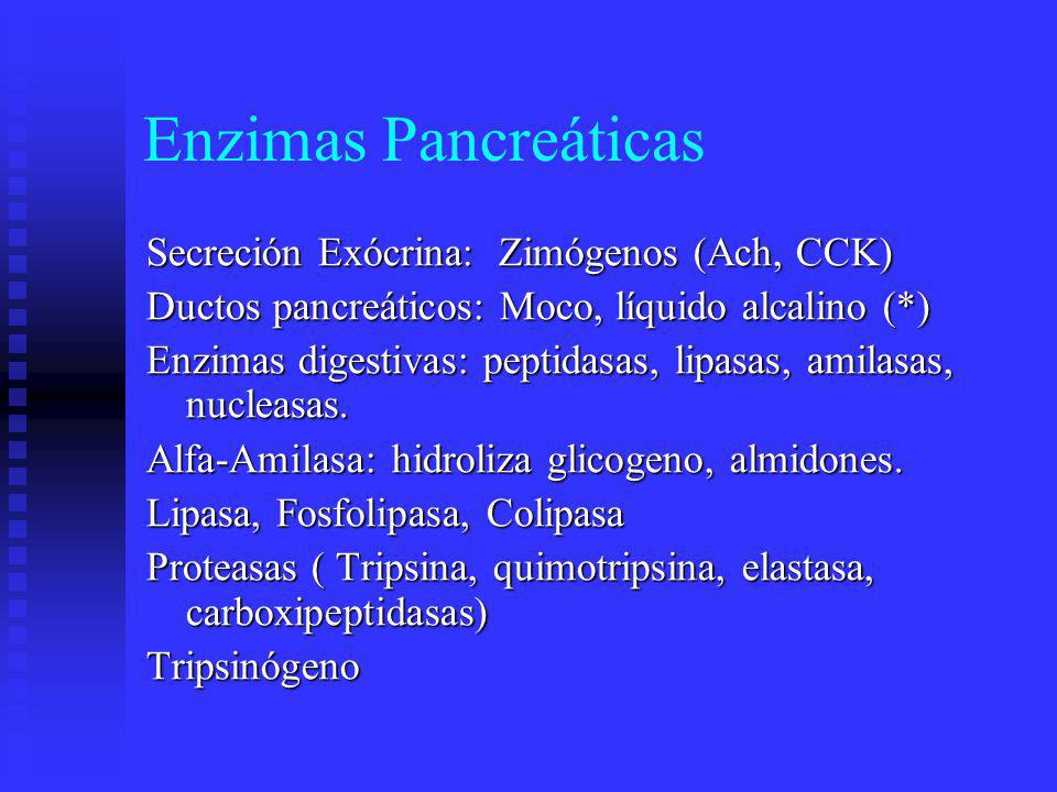 Enzimas Pancreáticas Secreción Exócrina: Zimógenos (Ach, CCK)