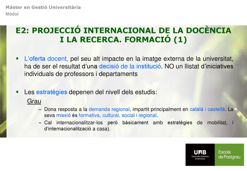 E2: PROJECCIÓ INTERNACIONAL DE LA DOCÈNCIA I LA RECERCA. FORMACIÓ (1)