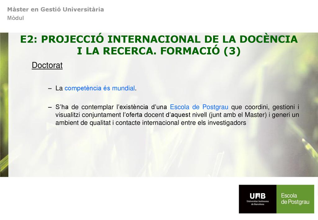 E2: PROJECCIÓ INTERNACIONAL DE LA DOCÈNCIA I LA RECERCA. FORMACIÓ (3)