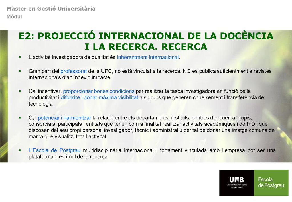 E2: PROJECCIÓ INTERNACIONAL DE LA DOCÈNCIA I LA RECERCA. RECERCA