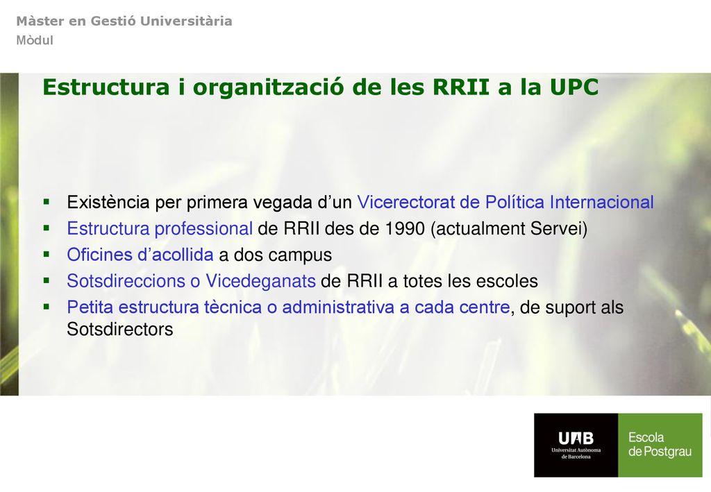 Estructura i organització de les RRII a la UPC
