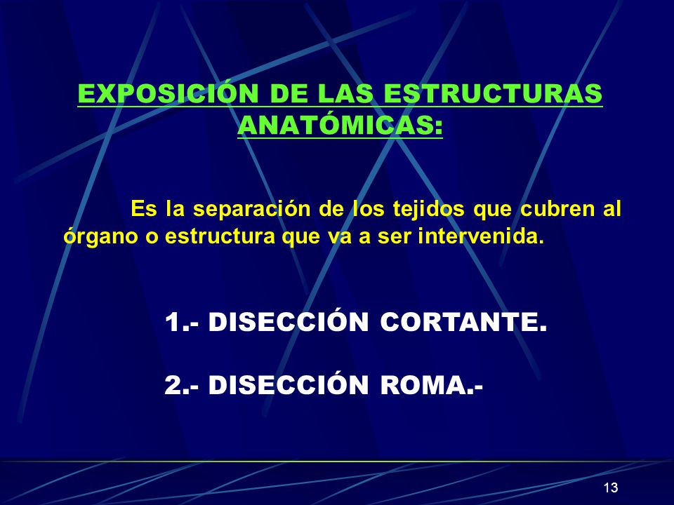 EXPOSICIÓN DE LAS ESTRUCTURAS ANATÓMICAS: