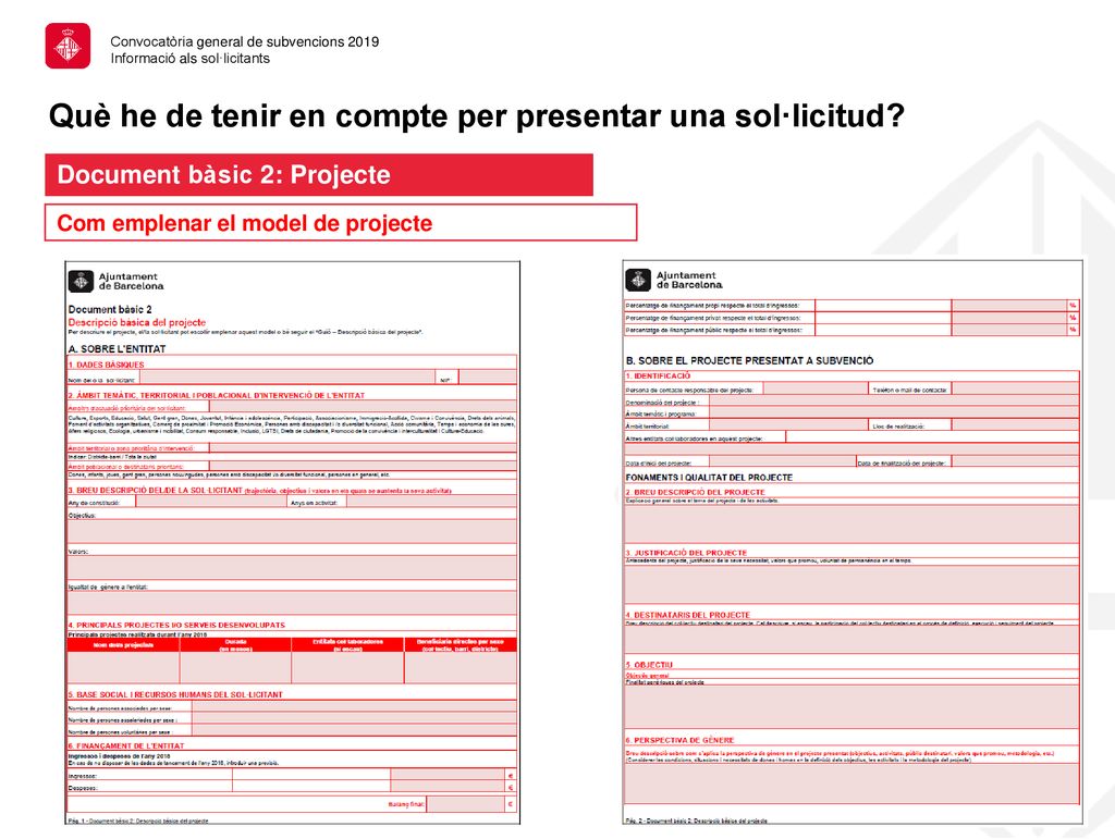 Què he de tenir en compte per presentar una sol·licitud