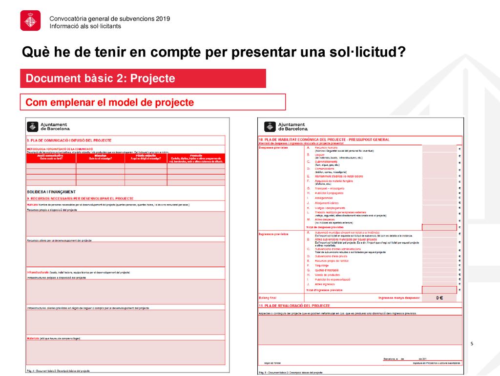 Què he de tenir en compte per presentar una sol·licitud