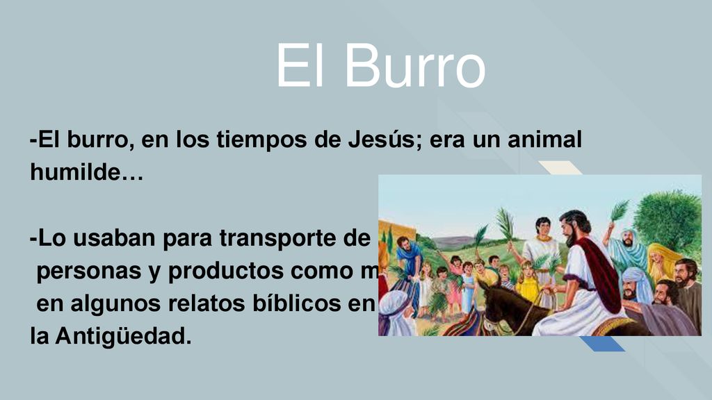 El Burro -El burro, en los tiempos de Jesús; era un animal humilde…