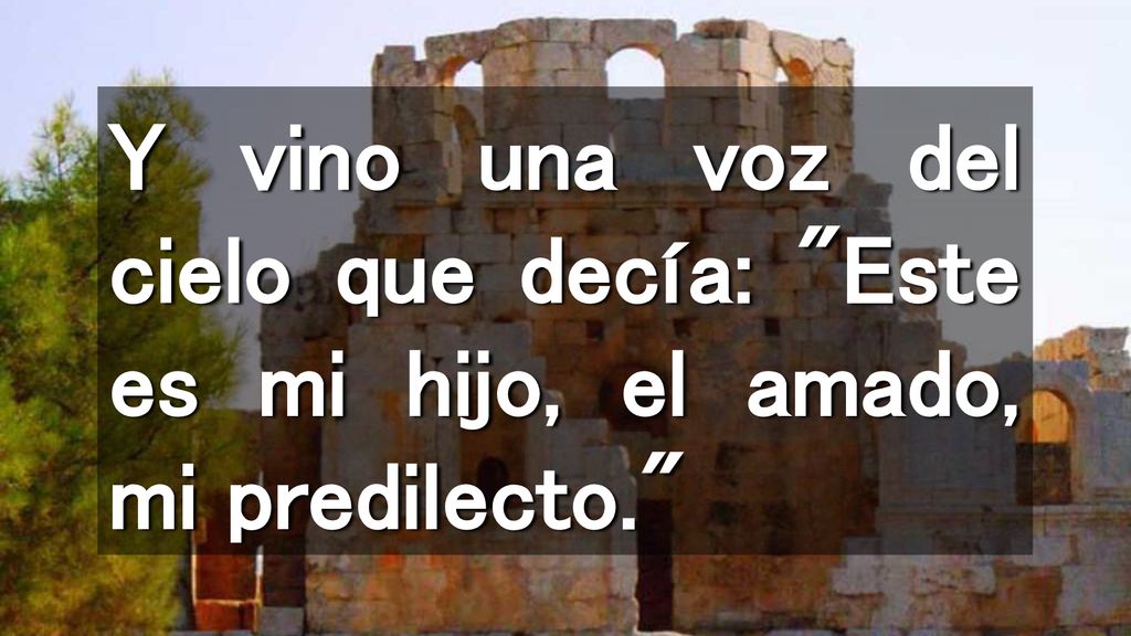 Y vino una voz del cielo que decía: Este es mi hijo, el amado, mi predilecto.