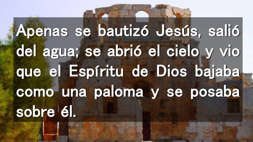 Apenas se bautizó Jesús, salió del agua; se abrió el cielo y vio que el Espíritu de Dios bajaba como una paloma y se posaba sobre él.