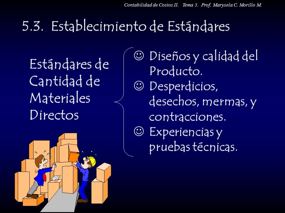 5.3. Establecimiento de Estándares
