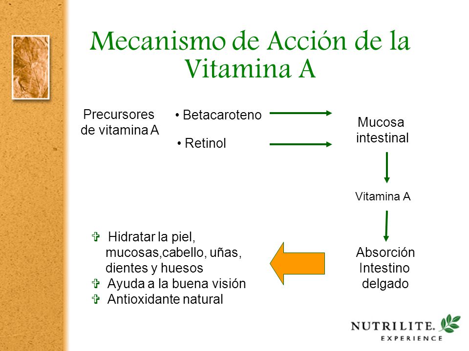 Mecanismo de Acción de la Vitamina A