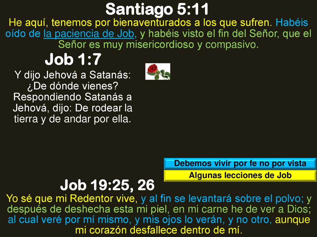 Debemos vivir por fe no por vista Algunas lecciones de Job