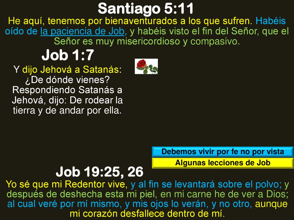 Debemos vivir por fe no por vista Algunas lecciones de Job