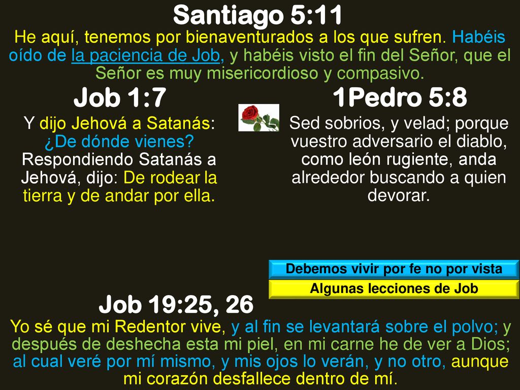 Debemos vivir por fe no por vista Algunas lecciones de Job
