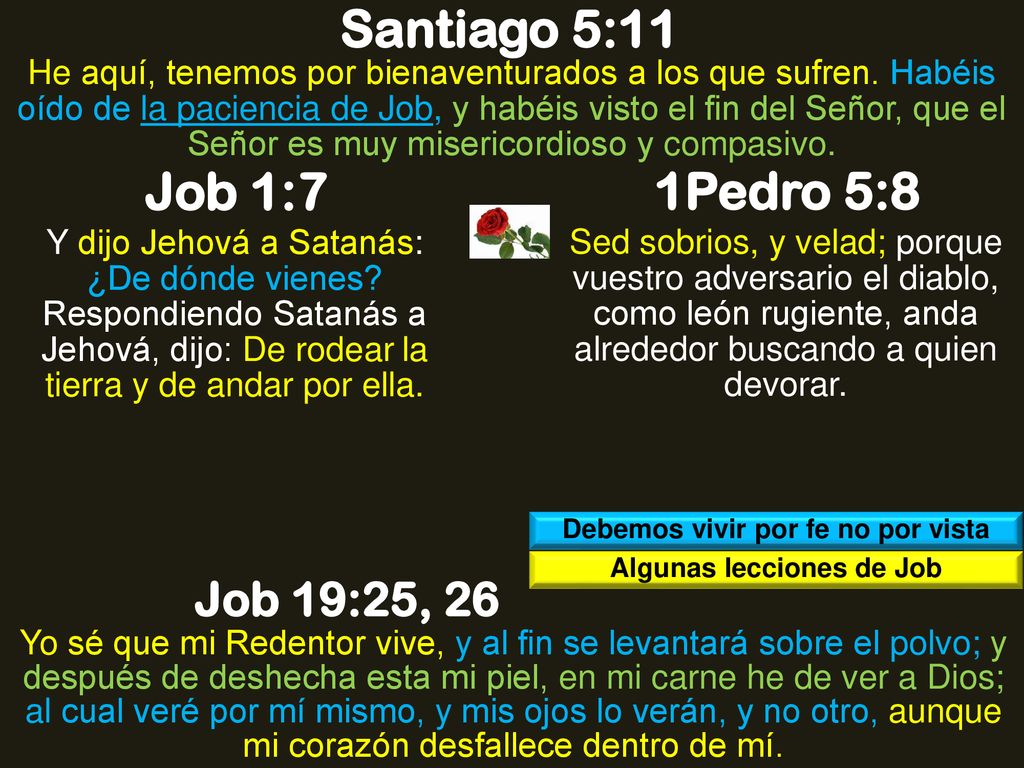Debemos vivir por fe no por vista Algunas lecciones de Job
