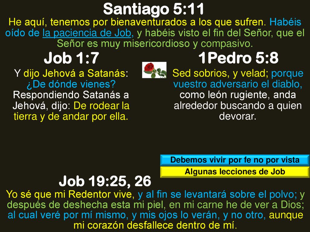 Debemos vivir por fe no por vista Algunas lecciones de Job