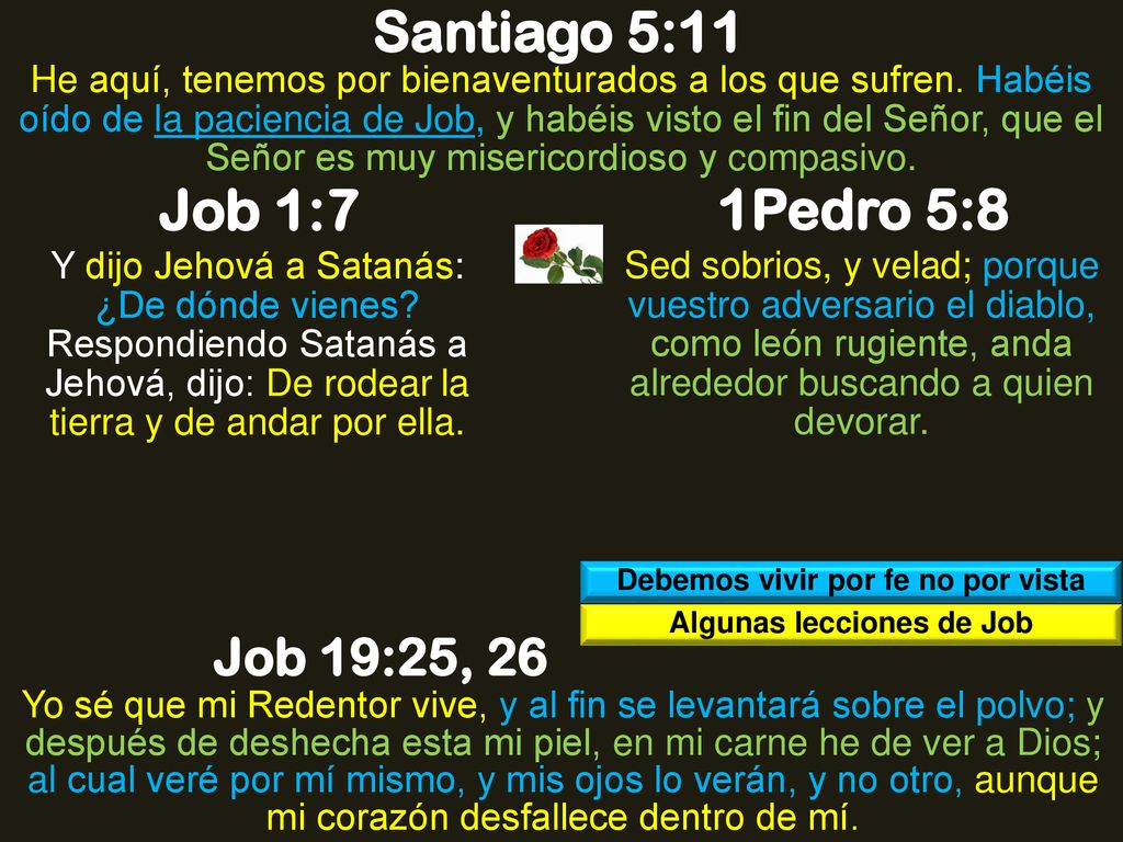Debemos vivir por fe no por vista Algunas lecciones de Job