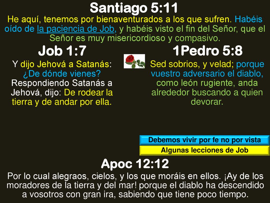 Debemos vivir por fe no por vista Algunas lecciones de Job