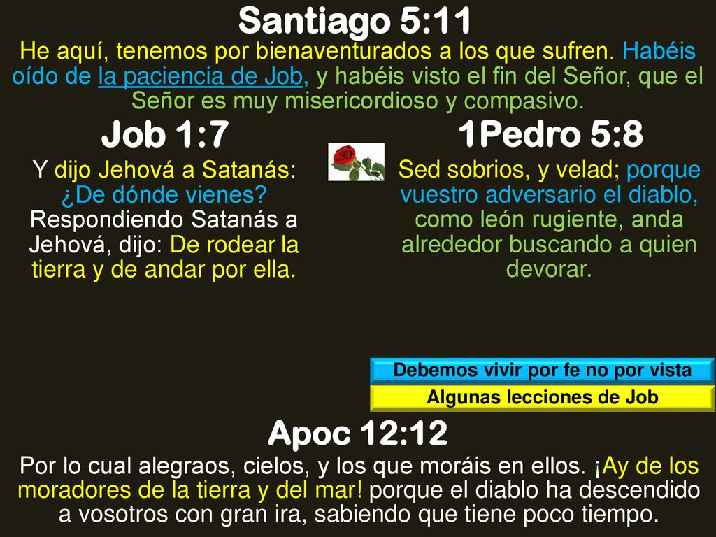 Debemos vivir por fe no por vista Algunas lecciones de Job